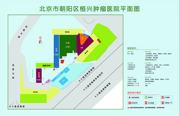 国产大鸡巴男人操怀孕女人的逼录像视频北京市朝阳区桓兴肿瘤医院平面图